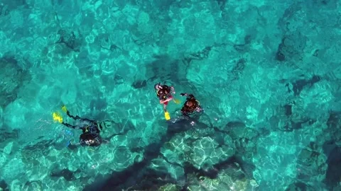 Aerial scuba diving training above rocky reef - Skill Practice and Snorkel Area Stock Footage 339753164