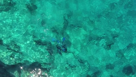Aerial scuba diving training above rocky reef - Marine Education and Open Water Stock Footage 339753193
