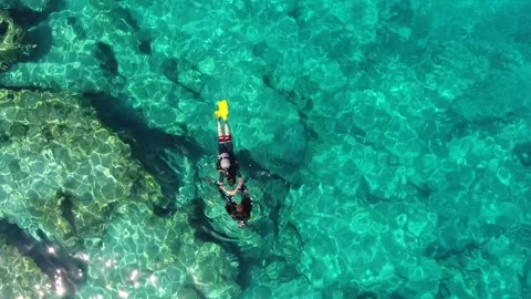 Aerial scuba diving training above rocky reef - Marine Life and Undersea Lesson Stock Footage 339753231