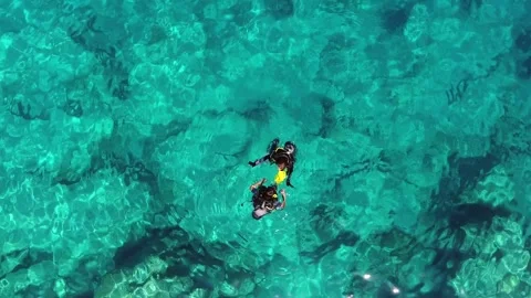 Aerial scuba diving training above rocky reef - Undersea Lesson and Dive School Stock Footage 339753279