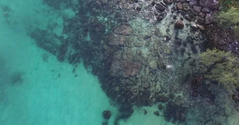 Aerial sea bottom Stock Footage 61483182