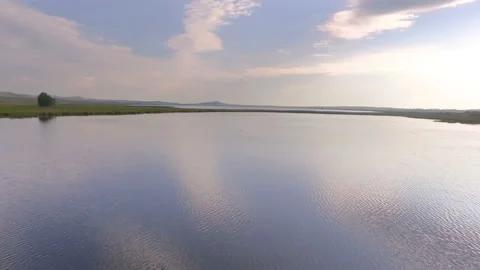 AERIAL: Seagulls fly over a large mirror lake, ducks dive into the water. Stock Footage 87529112