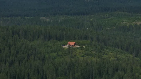 Aerial of secluded forested log cabin in the Idaho Panhandle in summer Stock Footage 337595536