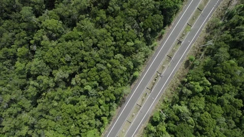 Aerial Secluded Road Through Lush Wilderness Stock Footage 263093400