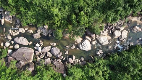 Aerial Serene River Flow in Forest Stock Footage 264562895