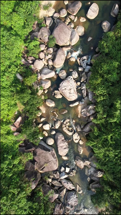 Aerial Serene River Flow Through Forest Stock Footage 264562912