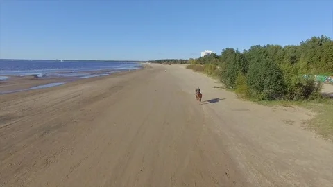 Aerial Sestroretsk Stock Footage 81224809