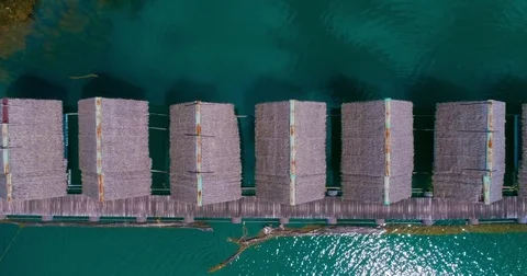 Aerial: Several thatched roofs floating houses are standing on the lake. Stock Footage 82709298