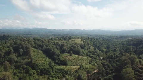 Aerial Shade of Mountain , Forest Stock Footage