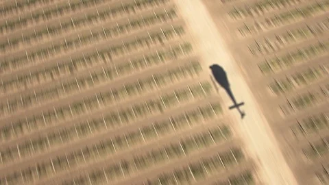 Aerial of shadow of chopper flying over field on a sunny day Stock Footage