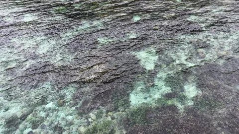 Aerial of a Shallow Reef and Sharp, Rugged Limestone Islands in Raja Ampat Stock Footage 325523459