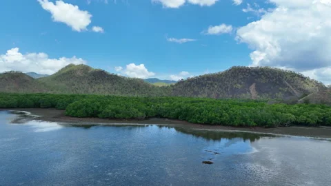 Aerial of Shallow Reef Flat and Mangrove Forest in Indonesia Stock Footage 220519168