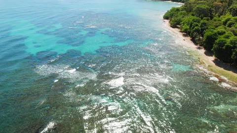 Aerial shallow reef patterns near tropical beach in clear water on Caribbean Vidéo 344703628