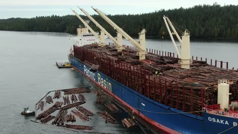 Aerial: Ship cranes loading log bundles onto her deck Stock Footage 149899780