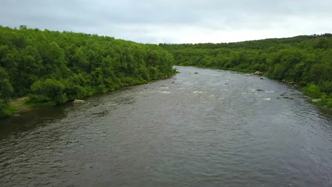 Aerial shoot of clean river in green forests and hills in wild Kola peninsula Stock Footage 100815832