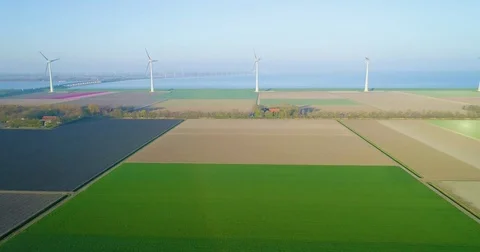 Aerial shoot: Stack of footage, Tulip fields near Wind turbine, Amsterdam Stockbeeldmateriaal 84296545