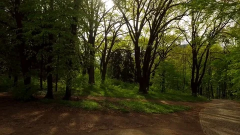 Aerial shooting of the park in the spring. Stock Footage 90983939
