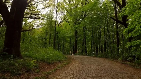 Aerial shooting of the park in the spring. Stock Footage 90989029