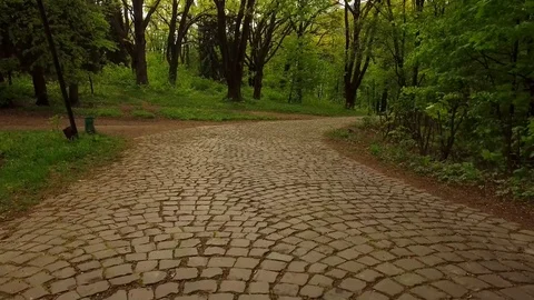 Aerial shooting of the park in the spring. Stock Footage 90991270