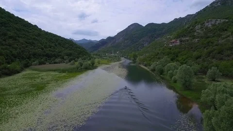 Aerial shooting river with green lilies on water surface flowing around hill. Stock Footage