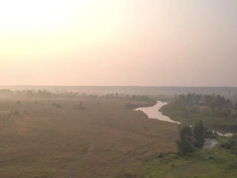 Aerial shooting of river, nature, fields and trees #9 Stock Footage 83555633
