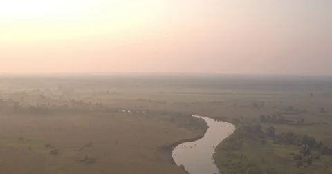 Aerial shooting of river, nature, fields and trees #10 Stock Footage 83556802