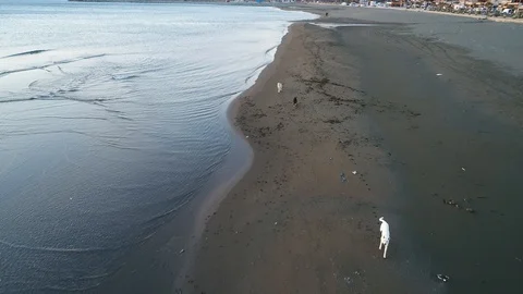 Aerial shooting of Waves lapping up against the shore in the sunset via drone Stock Footage 101601741