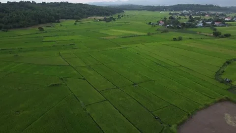 Aerial Shot of Agricultural Land Stock Footage