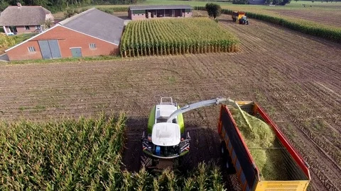 Aerial shot of Agriculture machine corn chopping Stock Footage