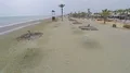 Aerial shot along coastline with straw parasols and palms, tourism and relax 4k or 4k+ Resolution