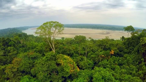 Aerial Shot of Amazon Rainforest Stock Footage 73281087