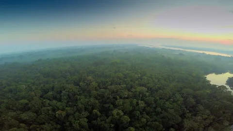 Aerial Shot of Amazon Rainforest Stock Footage 73282696