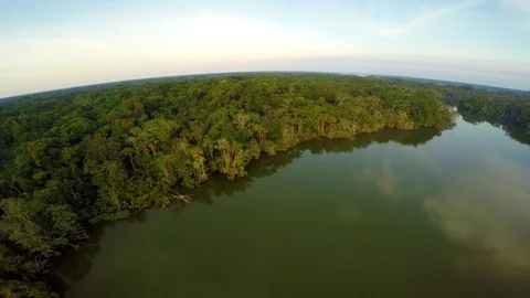 Aerial Shot of Amazon Rainforest at sunset Stock Footage 73248887
