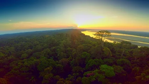 amazon rainforest sunset