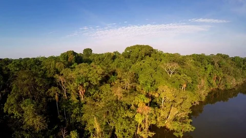 Aerial Shot of Amazon Rainforest view up to the Horizon Stock Footage 73251285