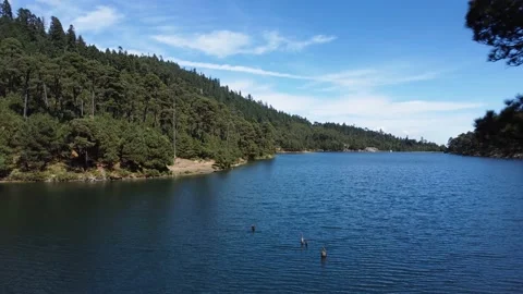 Aerial shot among pine trees of a dam in Mexico Видео 167445459