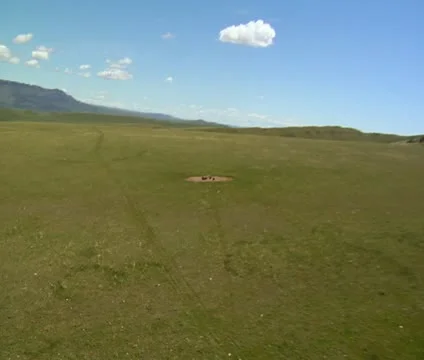 Aerial shot of antelope at cattle water trough Video stock 21613341