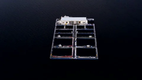 Aerial shot around aquaculture cod farm in Norway with marine pens 動画素材 337945125