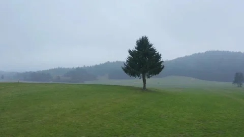 Aerial shot around a tree alone in a green field on a cloudy day, in Slovenia Stock Footage 229263416