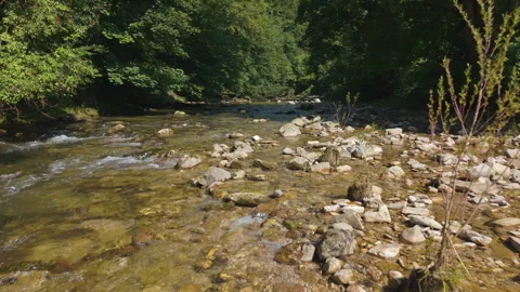 Aerial shot of Aurach river with clear water and stones in Altmunster, Austria Stock Footage 331074553