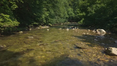 Aerial shot of Aurach river flowing through forest in Altmunster, Austria Vídeo Stock 331076053
