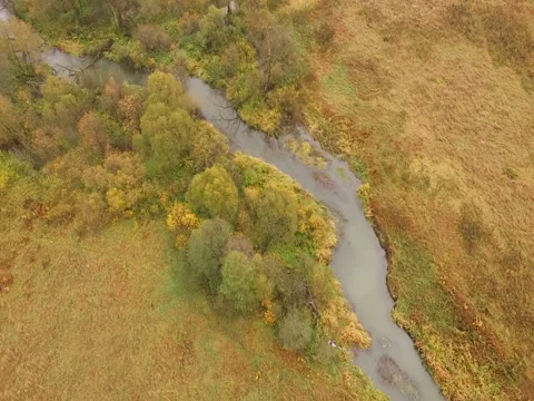 Aerial Shot Of autumn forest field small river Stock Footage 81190053
