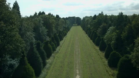 Aerial shot of avenue of trees leading to manor house Stock Footage