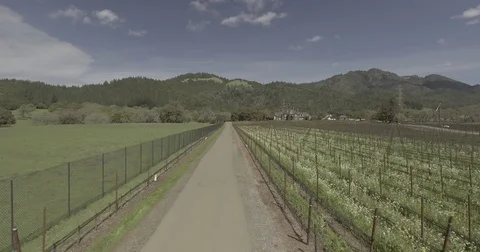 Aerial shot backing away through winery gate. Stock Footage 75706911