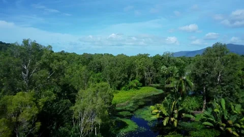 Aerial shot backwards exposing posing rainforest and lakes Stock Footage 169000603