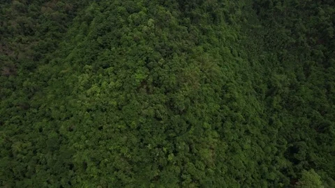 Aerial shot of beautiful mountain range 库存影片 75918133
