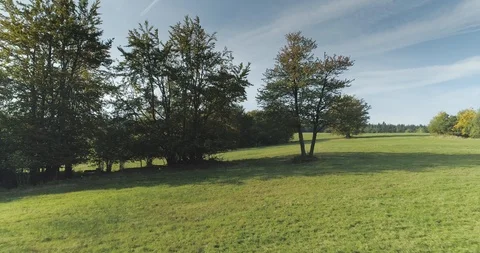 Aerial shot between trees at the meadow, autumn, 4k Stock Footage 87503961