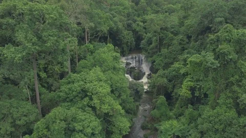 Aerial shot of big waterfall in jungle Stock Footage 79956653