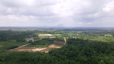 Aerial shot of Borneo Stock Footage 203766587