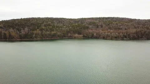 Aerial shot of brown tree forests with river in Autumn , Nova Scotia, Canada Stock Footage 102247237